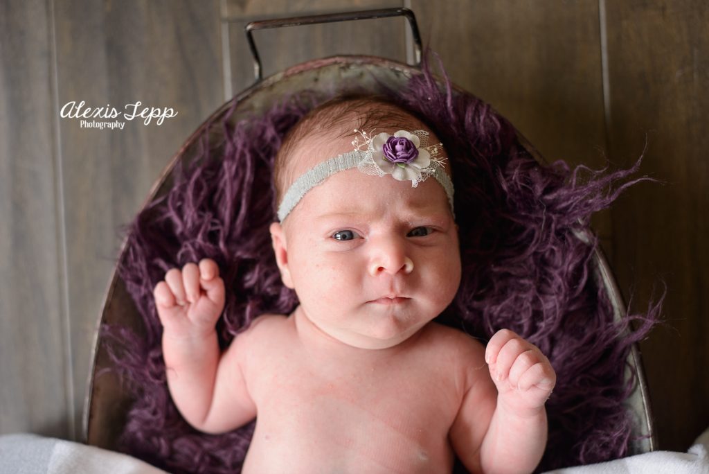 baby, newborn, photography, alexis tepp photography, purple, parker colorado, photographer