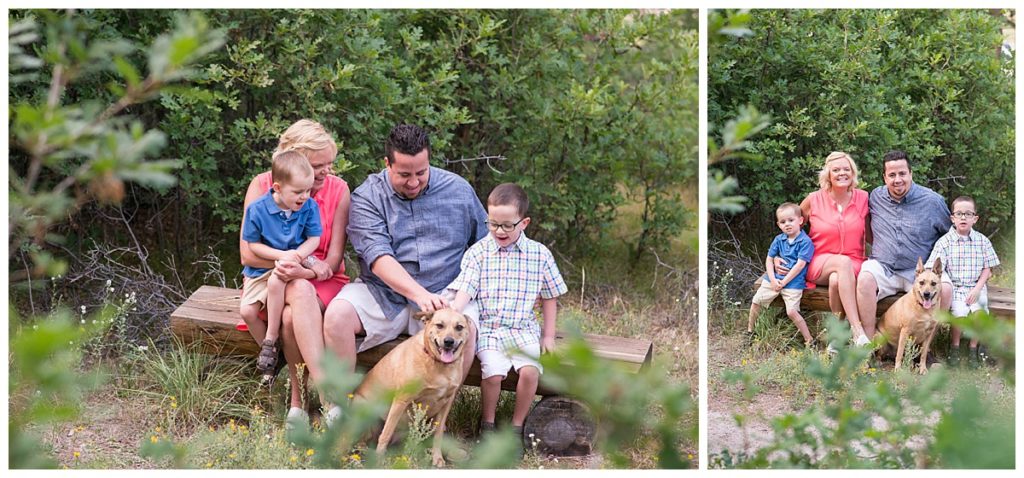 chambers, family, family photographer, photography, child, highlands ranch, colorado, alexis tepp photography, castle rock