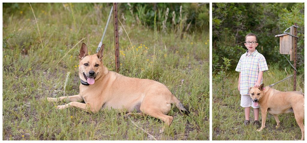 chambers, family, family photographer, photography, child, highlands ranch, colorado, alexis tepp photography, castle rock